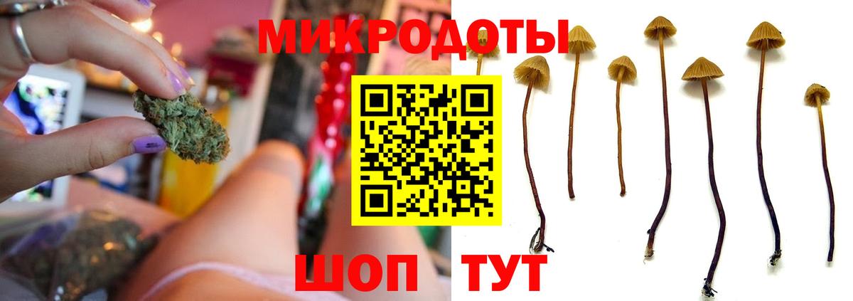 Дятьково  что такое   Псилоцибиновые грибы мухоморы  Вход с VPN  Галлюциногенные грибы Cubensis 